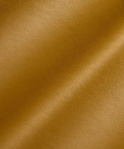 Aerosol tinted leather colour - aerosol,