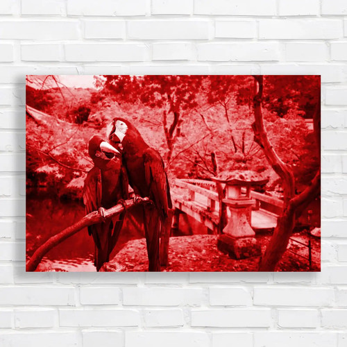 Blue gold macaw - red, canvas