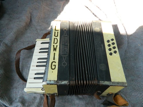 Vintage ludwig genuine antoria - vintage,