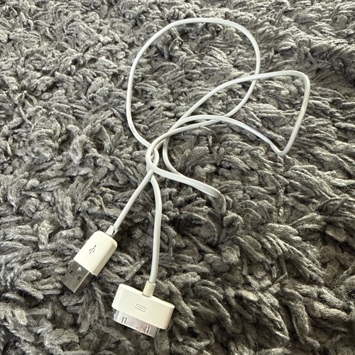 Apple pin charger cable - apple,