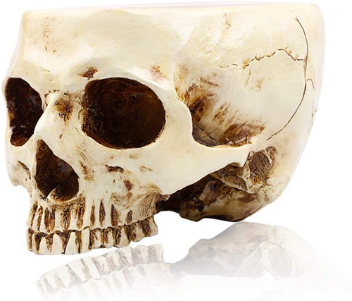 Halloween decoration retro - halloween,