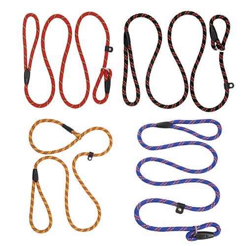 Dog slip leash - dog,