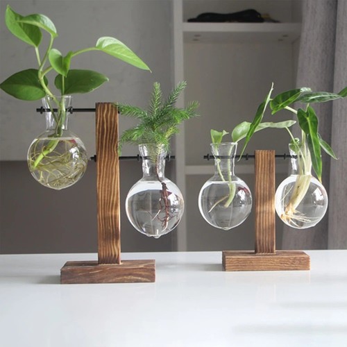 Glass desktop planter - desktop,