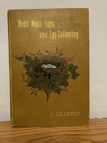 Birds nests eggs and - birds’, egg