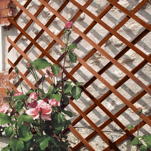 Wooden trellis expanding - wooden,