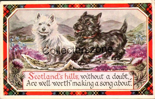 1952 dogs west highland - 1952, &