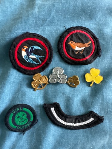 Vintage girl guides badges - vintage,