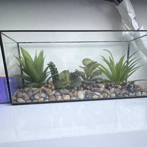 Gallon rectangular glass - 12,