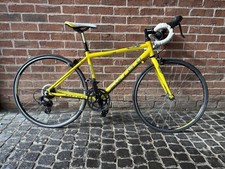 Kids Carrera TDF.JR LTD road
