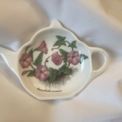 Fine porcelain botanical - fine,
