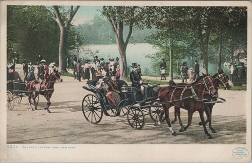 Lake central park - lake,