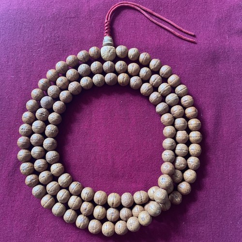 Authentic bodhi 108 seed - 108,