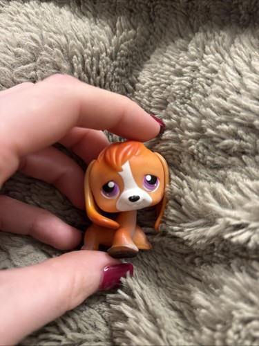 Littlest pet shop beagle - littlest,