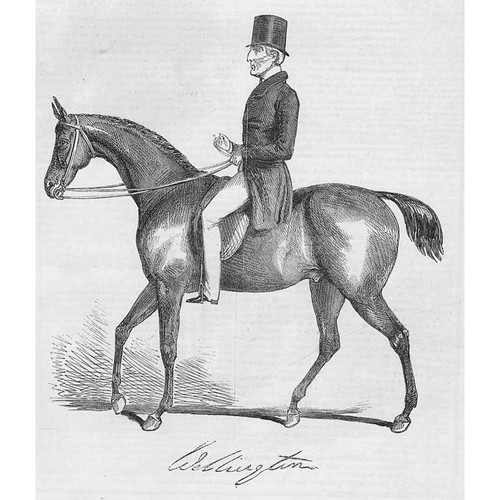 Duke wellington on - of,