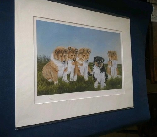 Rough collie portrait - portrait, handmade