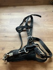 Shires Lunge Cavesson Black Full Size front checker strap 