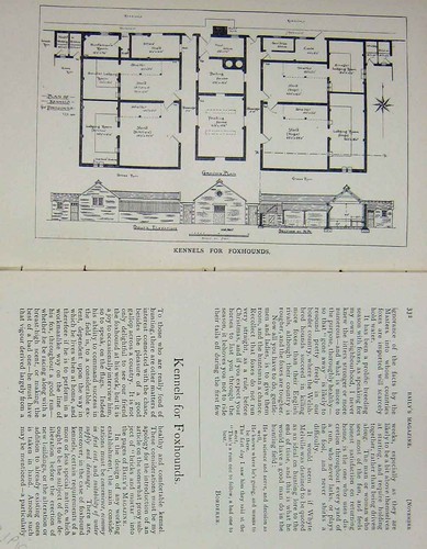 Original old antique print - original,