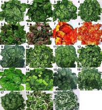 Artificial Trailing Ivy