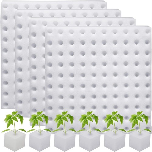 Hydroponic sponge gardening - hydroponic,