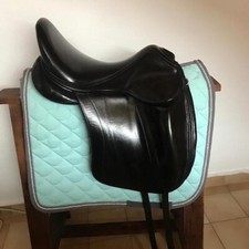 Roomy Gullet!!! 17.5 Childeric