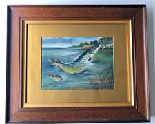 Watercolour Picture - Pike