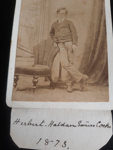 1873 cdv herbert - 1873,