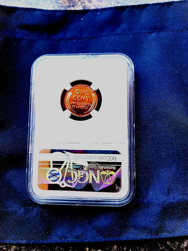 Vivid red 1954 - vivid, ngc