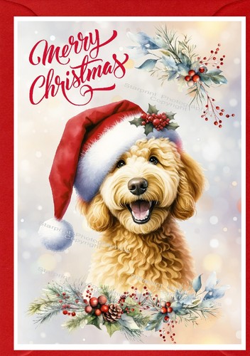 Labradoodle doodle dog a6 - doodle,