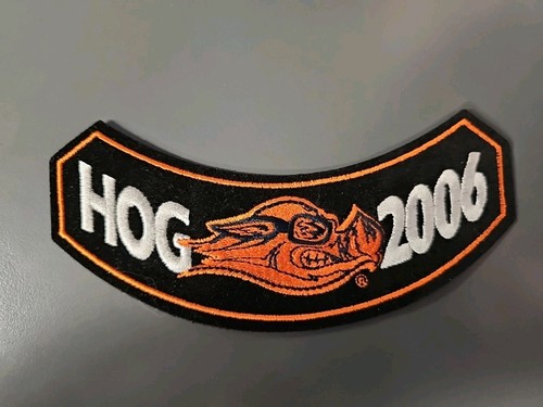 Harley davidson 2006 hog - davidson,