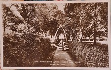 Vintage Postcard The Whale