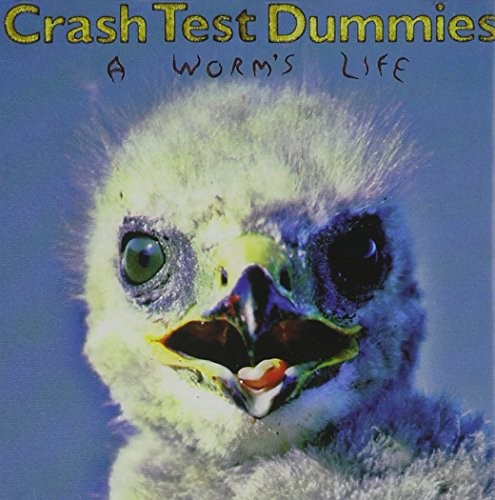 The crash test dummies - dummies,