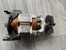 Karcher pressure washer motor