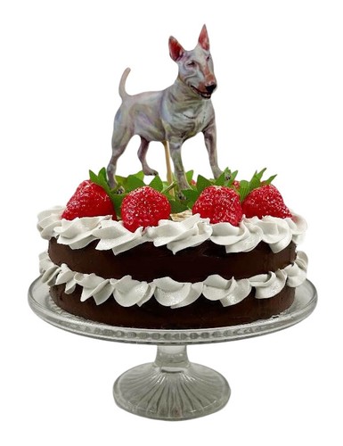 English bull terrier cake - english,