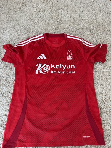 Nottingham forest home - nottingham,