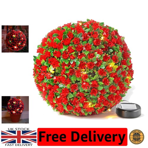 Enchanting 28cm red solar - 28cm,