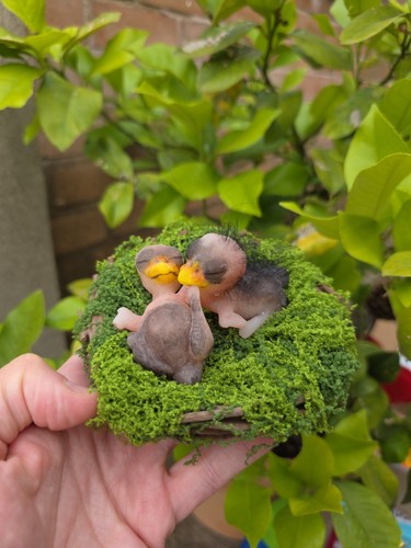 Ooak hatchling baby - baby, with