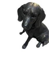 Spaniel Hunting Dog  Black