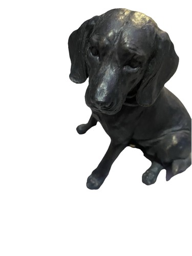 Spaniel hunting dog black - spaniel,