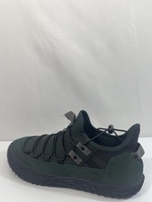 Hybrid Green Label Momentum