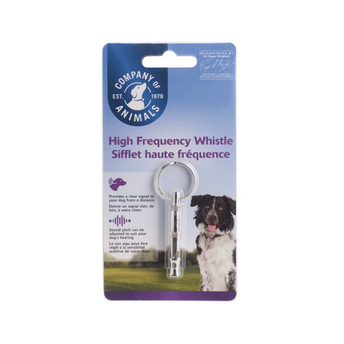 Company animals dog - animals,