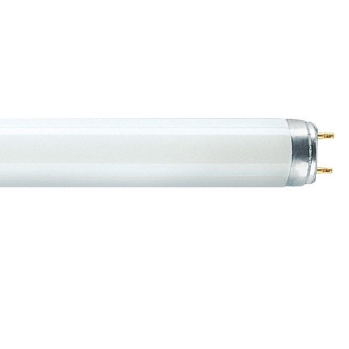 Fluorescent tube f70w 865 6ft - tube, f70w/865