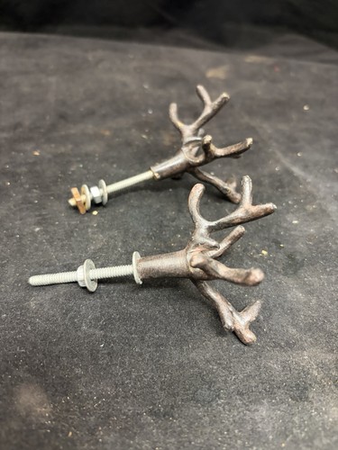 Pair coral branch - coral,