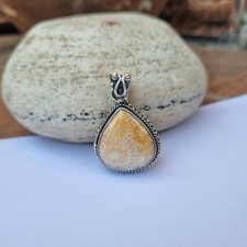 Drop dead fossil coral - fossil,