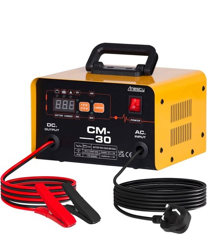 Anesty car battery - battery, 12v
