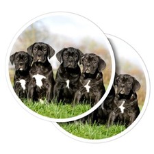 Vinyl stickers cane - vinyl,