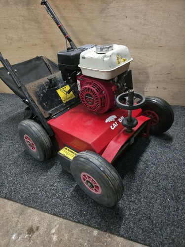 Camon ls42 petrol lawn - petrol,