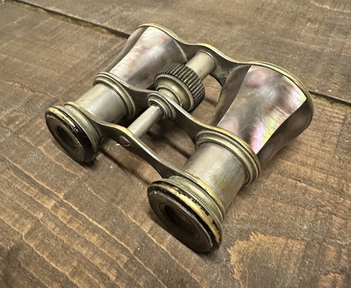 Antique black abalone - antique,