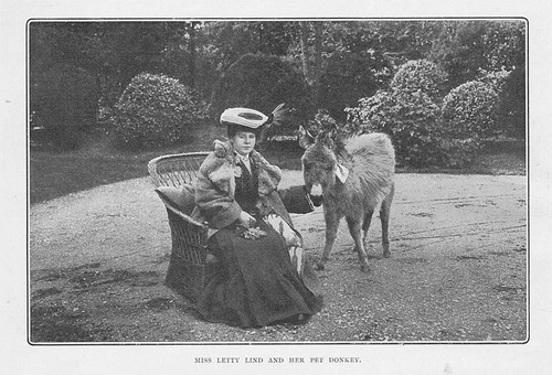Letty lind actress and pet - lind,
