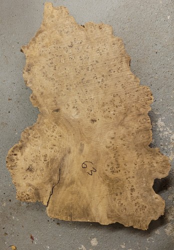 Timber scottish burr elm blank - elm,