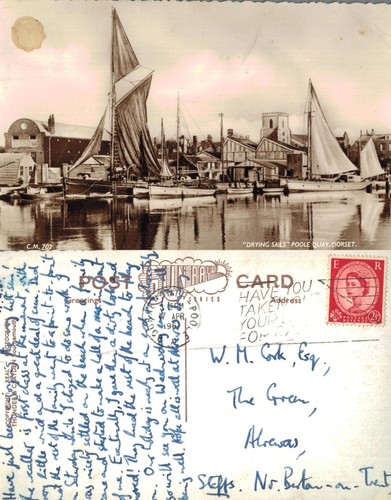 Vintage postcard drying - vintage,